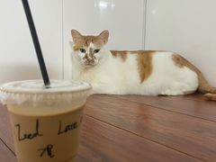 -二里咖啡(上堡公寓店)