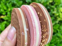 -Laderach 莱德拉(上海环贸iapm店)