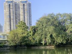 -荔枝公园(福田区)