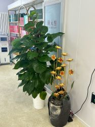 -宝妈港湾·妙初产后恢复(西局店)