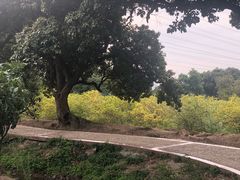 -太子园林酒家