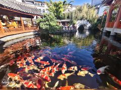 -香麒园·过桥米线·南湖雅宴