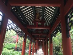 -顺峰山公园