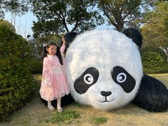 -苏州太湖国家湿地公园