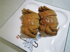 -呼吸森林·生态农庄农家乐私房菜