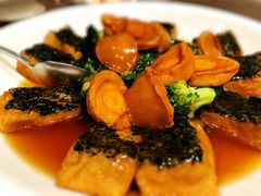 -四川豆花饭庄