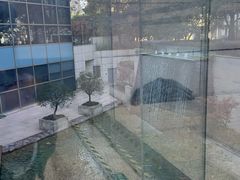 -上海外滩茂悦大酒店