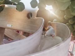 -水桶王国主题餐厅·聚会·生日派对·亲子活动·家庭套餐(亚龙湾希尔顿店)