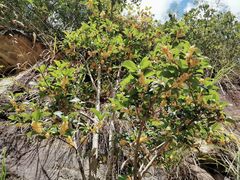 -磐安舞龙峡景区