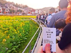 -红山村