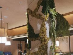 -阿露佳·舌尖上的安吉菜