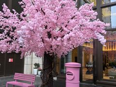 -杭州城中香格里拉大酒店