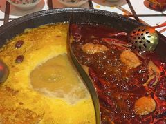 -朱光玉火锅馆(正弘城店)