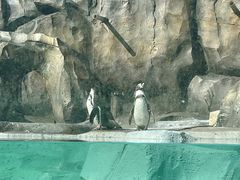 -武汉动物园
