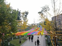 -成飞公园