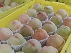 -老袁家蜜桃农场·阳山水蜜桃