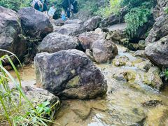 -南海湾森林生态园