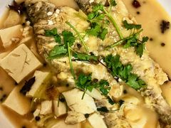 -煲来饱去冷水鱼