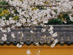 -三国水浒景区(无锡影视基地)