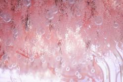 -曼格纳婚礼艺术中心(张江店)