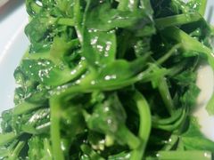 清炒豌豆尖-渝信川菜(长安店)