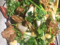 -直隶安家牛肉罩饼(建华店)