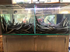 -本炙炭烤·蒲烧活鳗料理店(金沙洲店)