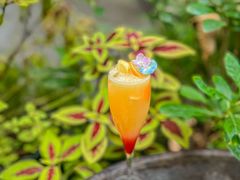 -T館·花园艺术餐厅