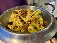 -云中小雅
