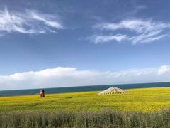 -青海湖国家重点风景名胜区