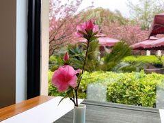 -荷风细雨·中国茶宴(碧云店)