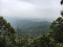 -广州市帽峰山景区