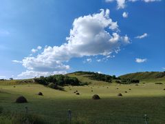 -御道口草原森林风景区