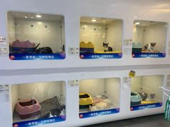 -1013 PET SHOP 宠物商店(近铁城市广场店)