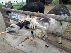 -昆明动物园