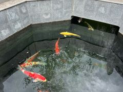-西安市广仁寺
