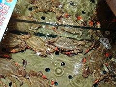 -天天渔港(杏林街店)