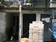 -花园菜市场