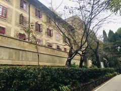 -武汉大学-樱园