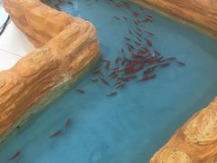 -JINS(北京凯德mall大峡谷店)