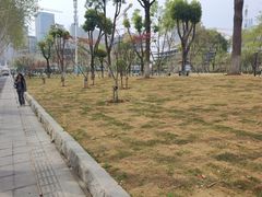 -后襄河公园