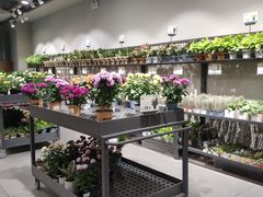 -鹿岛会员店 (龙湖三千集天街店)