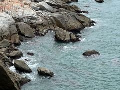 -广东惠东海龟国家级自然保护区