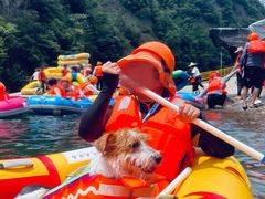 -安吉龙王山峡谷漂流