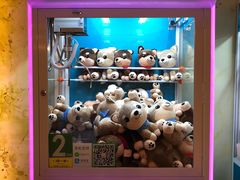 -上海崇明金茂凯悦酒店