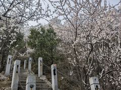 -北京凤凰岭