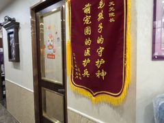 -宠爱国际动物医院·消化内科·心肾内科·ISFM猫友好(望京店)