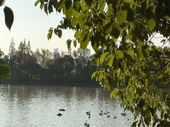 -艾溪湖湿地公园