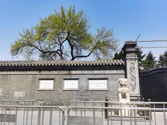 -协顺园回头馆(南顺城路店)