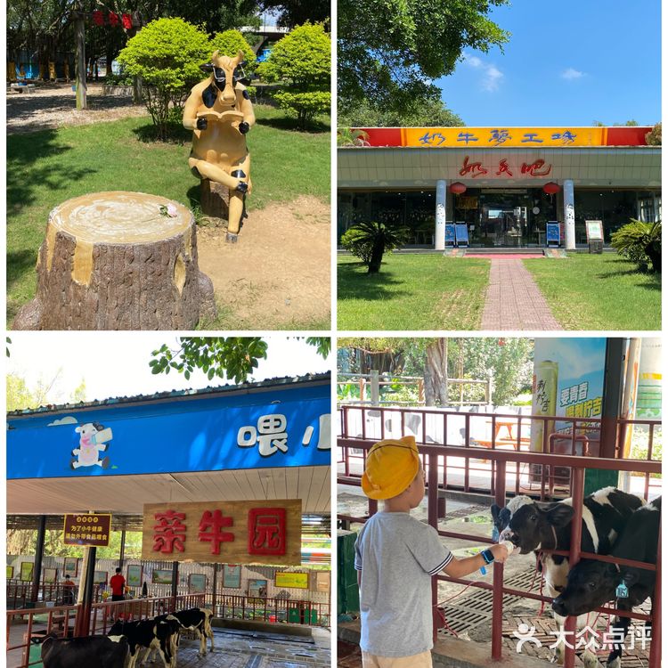 🐮国庆假期亲子游好去处｜光明农场大观园